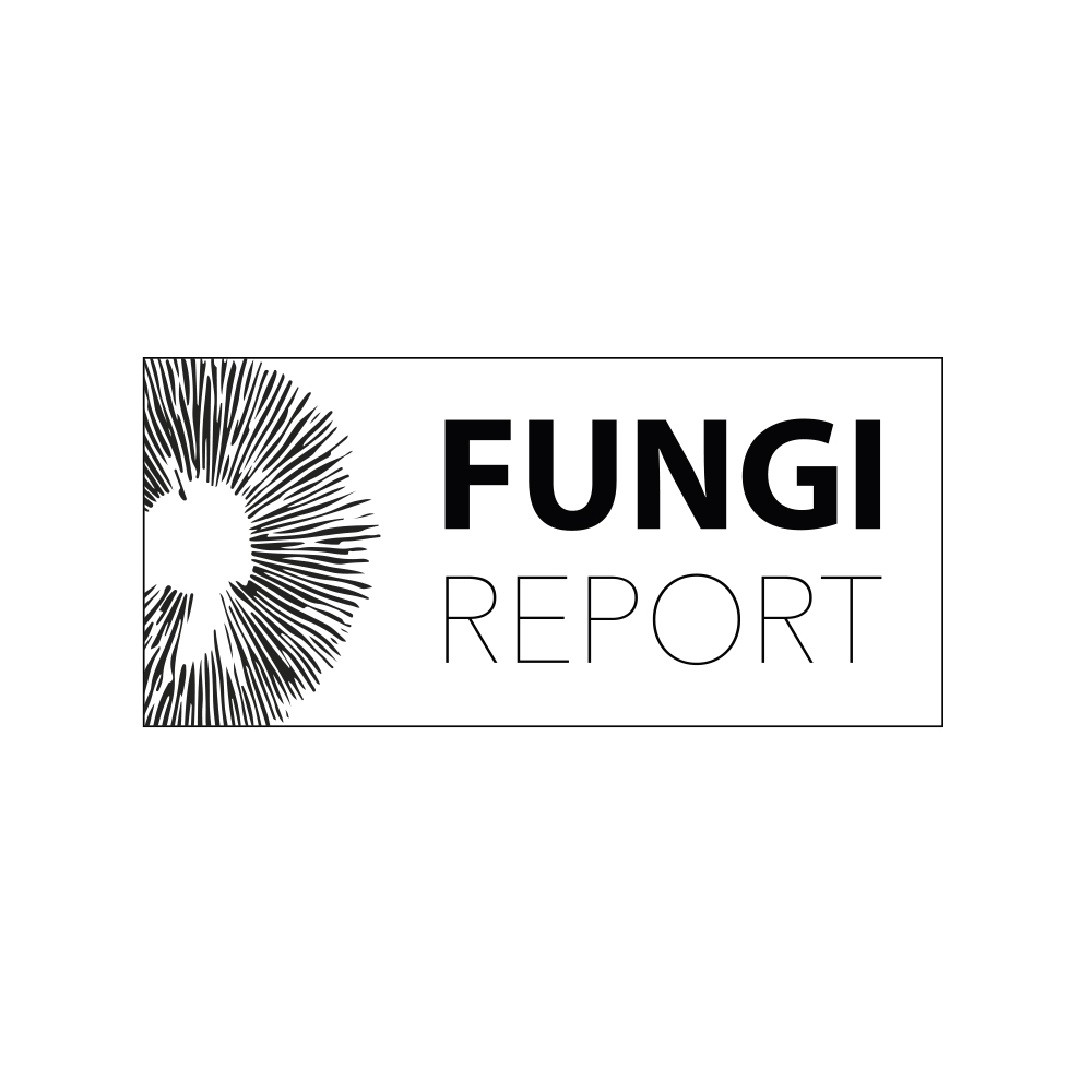 servicio de diseño de logotipo - diseño de logo Quilpué - marca fungi report